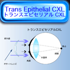 トランスエピセリアルCXL