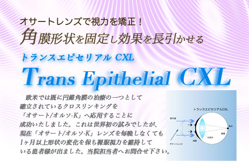 トランス エピセリアル CXL（クロスリンキング）